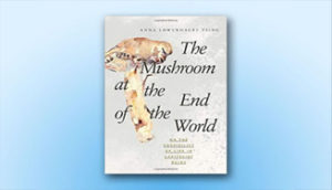the mushroom at the end of the world anna tsing